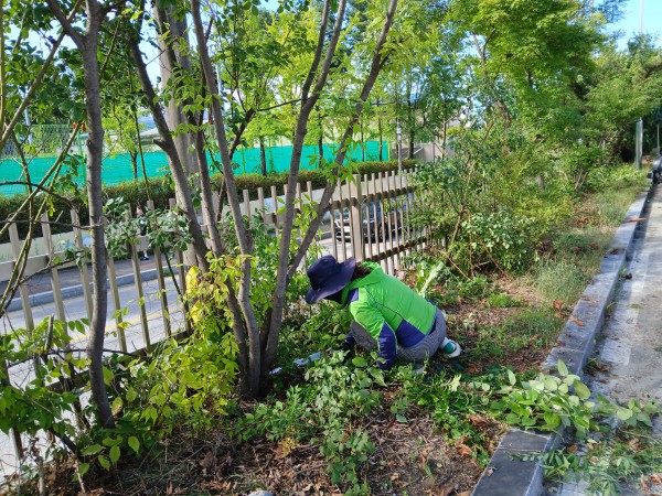 27a34f3edeff9c925539b489251f86cc_1784175934_759.jpg