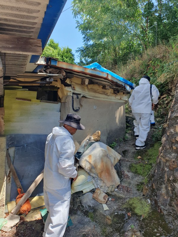 36254ed1d028fa0c54dc25d83bd0c4fb_1785113742_6504.jpg