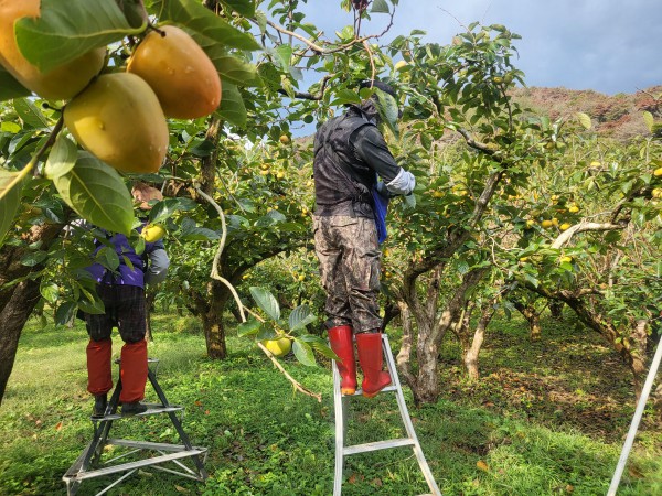 c893243939812d9d9ea1c4f168c32aa8_1793178157_8762.jpg